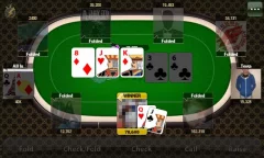 Poker Shark - screenshot 3