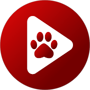 Bear Player - app icon