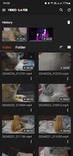 Bear Player - screenshot 1