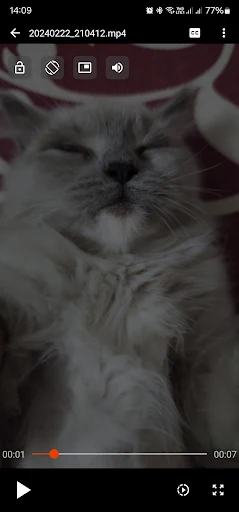 Bear Player - screenshot 2