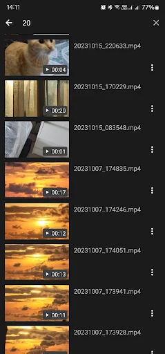 Bear Player - screenshot 4