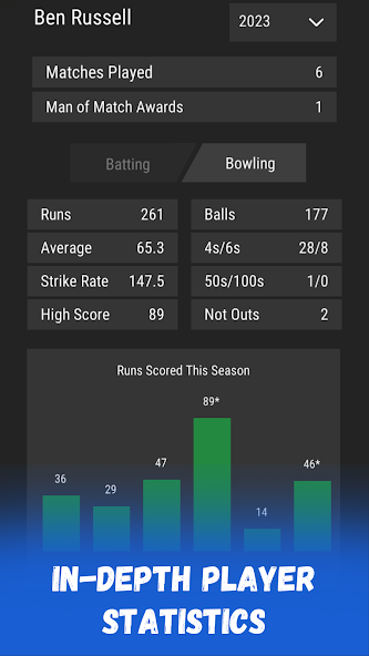 Wicket Cricket Manager - screenshot 5