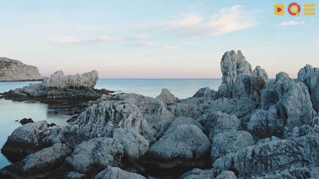 Find a Cat - screenshot 14