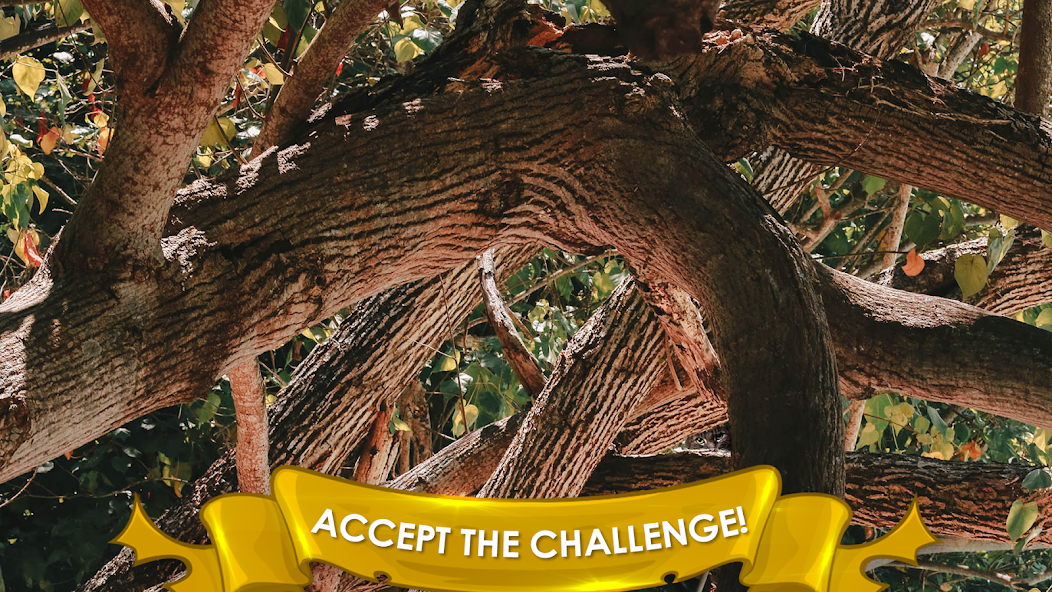 Find a Cat - screenshot 2