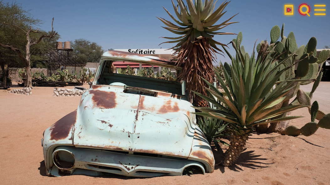 Find a Cat - screenshot 5