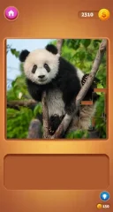 Pieces - screenshot 1