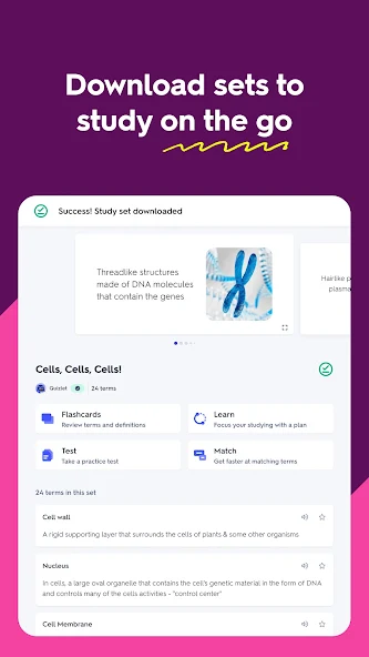 Quizlet - screenshot 13