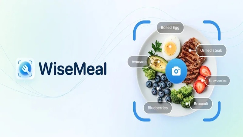 WiseMeal APK - app icon