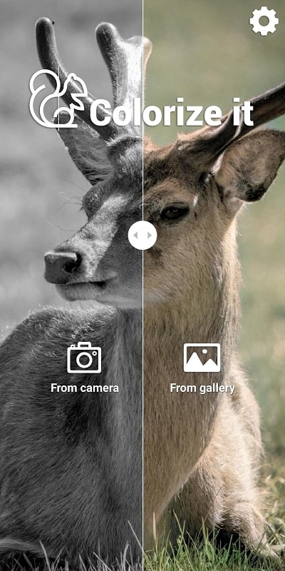 Colorize it APK - screenshot 4