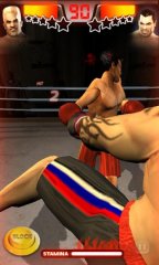Iron Fist Boxing - screenshot 1