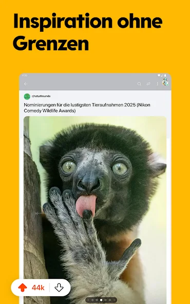 Reddit - screenshot 12