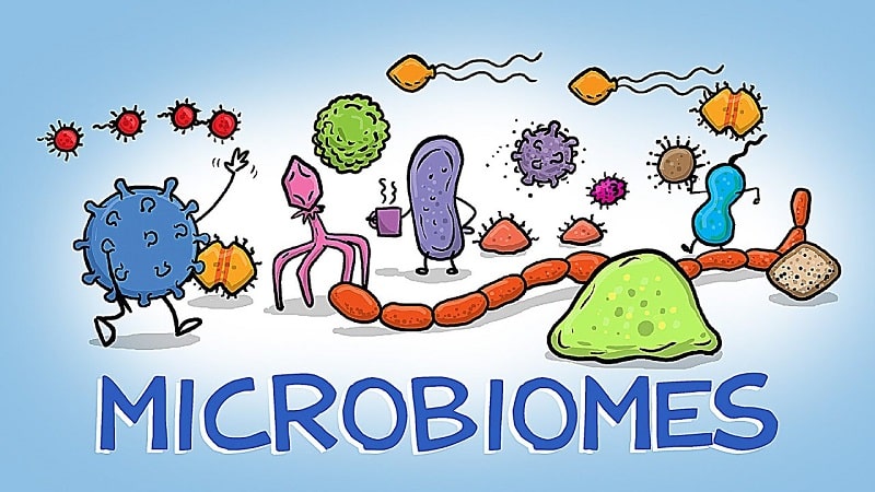 World of Microbes APK MOD APK icon