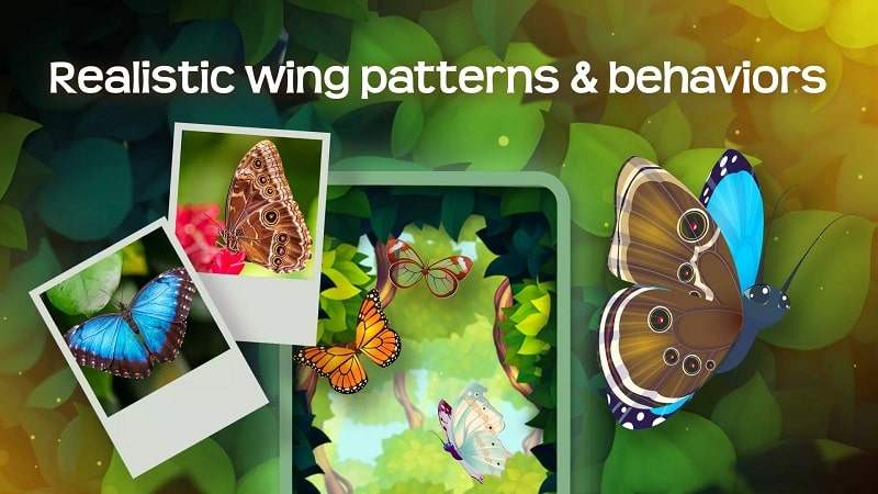Flutter Butterfly Sanctuary APK - screenshot 2