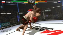Fighting Star - screenshot 3