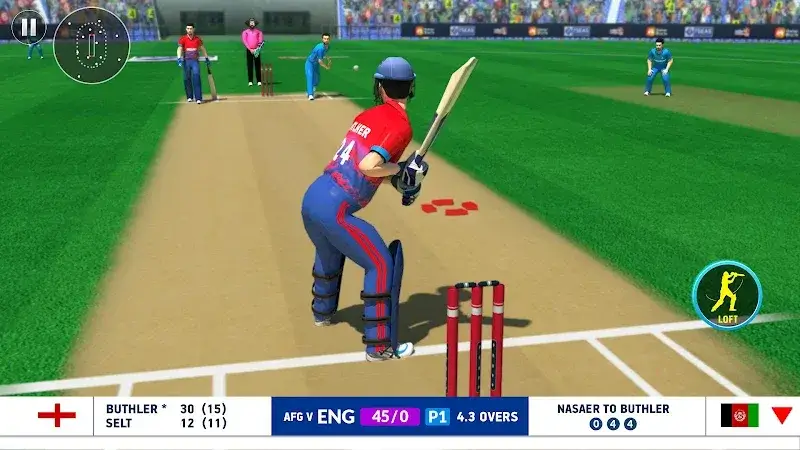World Cricket Champions League - screenshot 4