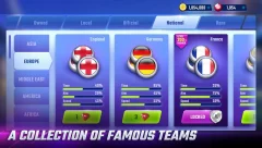 FOOTBALL STARS - screenshot 3