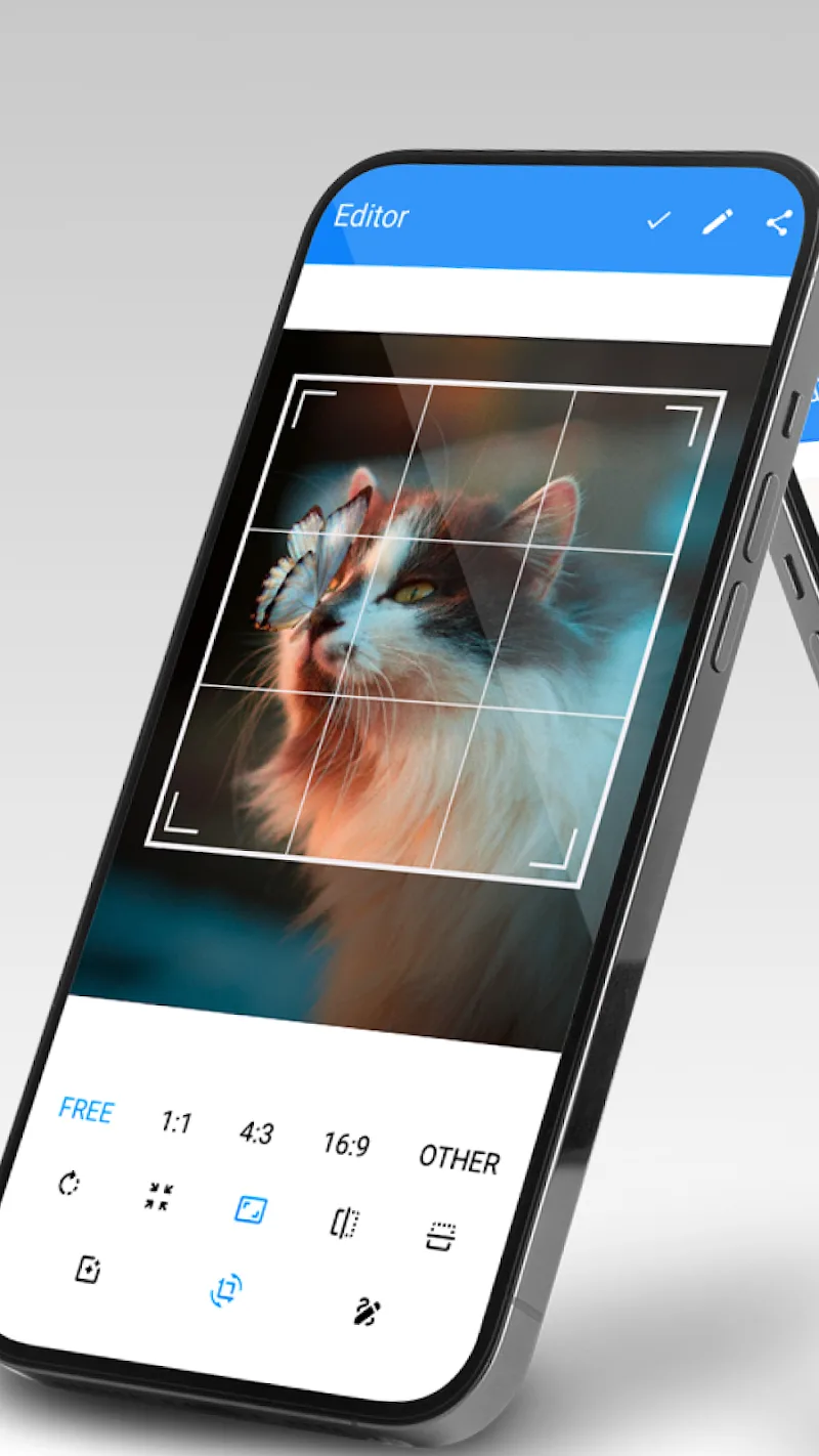 Simple Gallery Pro v6.1.5.1 APK (Premium Unlocked) - screenshot 3