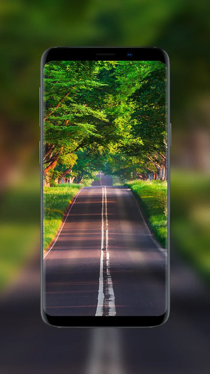 Nature Wallpapers - BlissView - screenshot 5