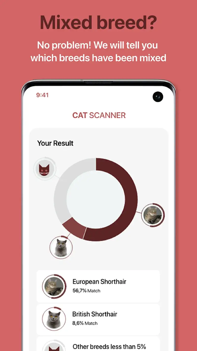 Cat Scanner - screenshot 2