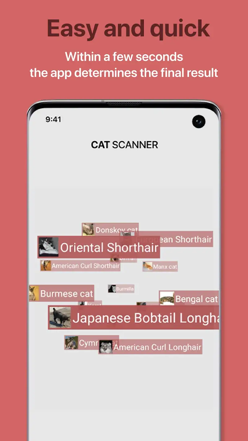 Cat Scanner - screenshot 3