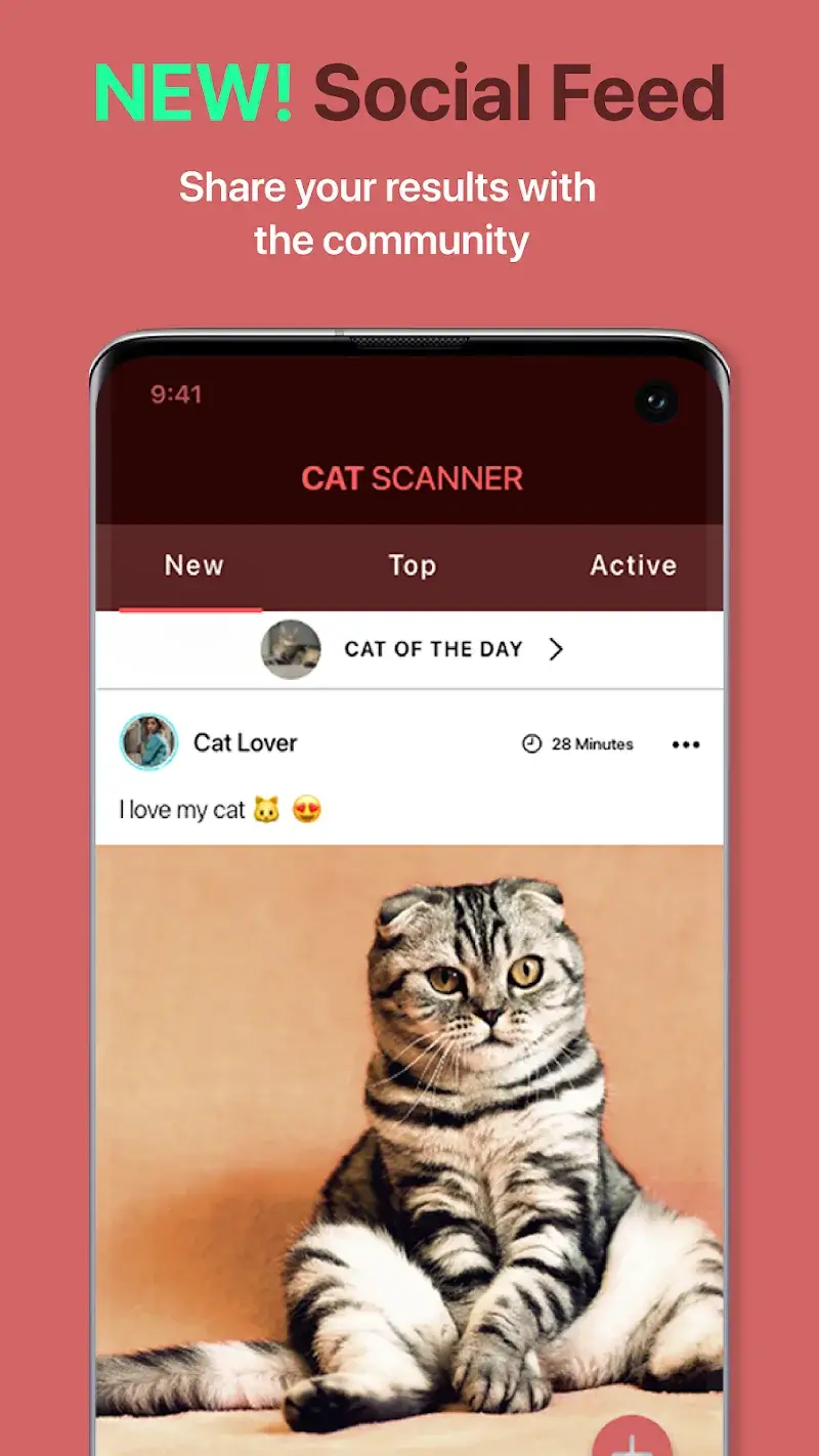 Cat Scanner - screenshot 4