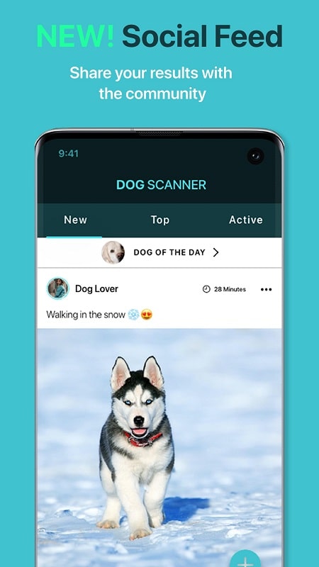 Dog Scanner APK - screenshot 2