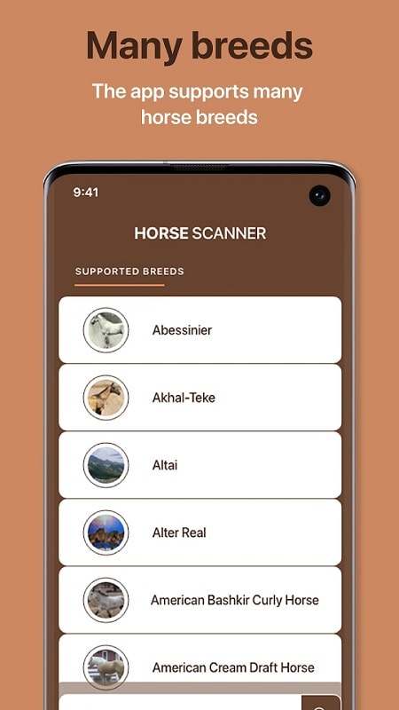 Horse Scanner APK - screenshot 1