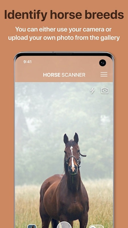 Horse Scanner APK - screenshot 2