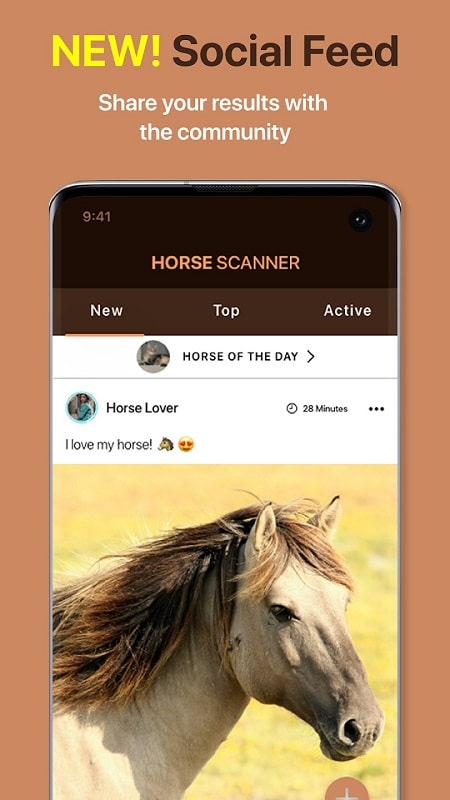 Horse Scanner APK - screenshot 5