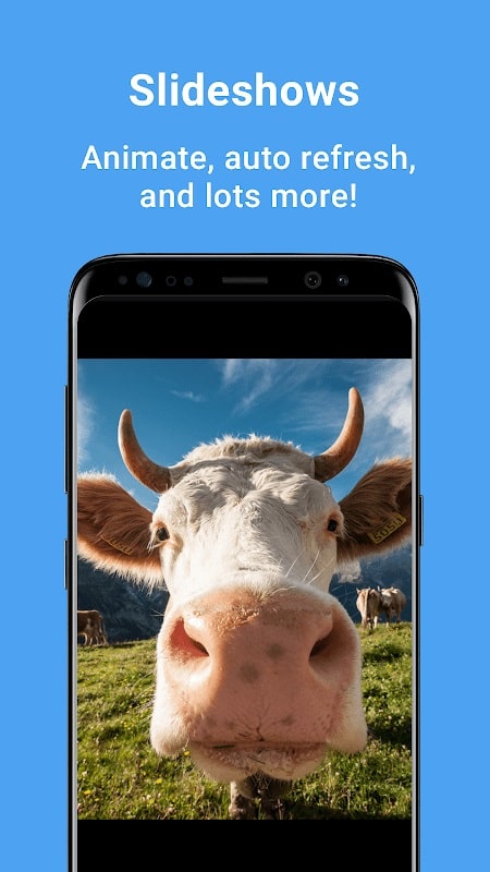 dFolio APK - screenshot 3