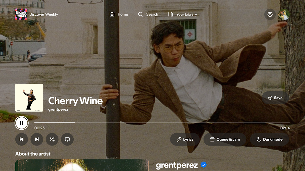 Spotify for Android TV - screenshot 11