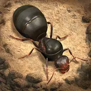The Ants Underground Kingdom APK 3.82.0 for Android - app icon