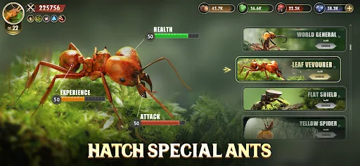 The Ants Underground Kingdom APK 3.82.0 for Android - screenshot 5