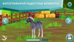 Star Stable Horses - screenshot 4