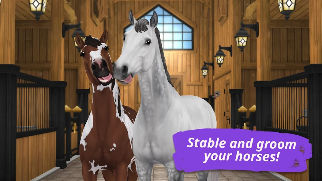 Star Stable Online - screenshot 8