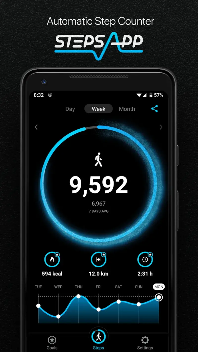 StepsApp - screenshot 1