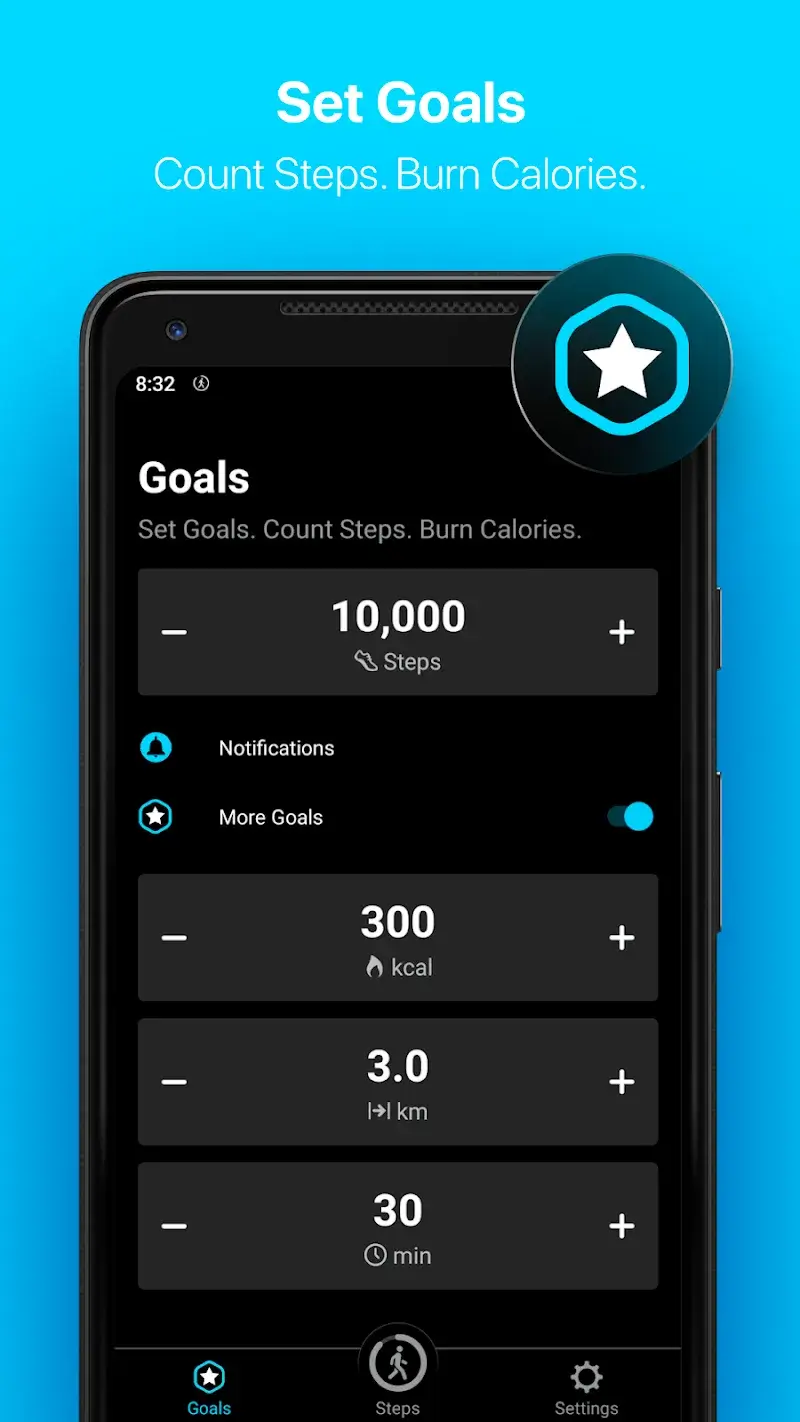 StepsApp - screenshot 3