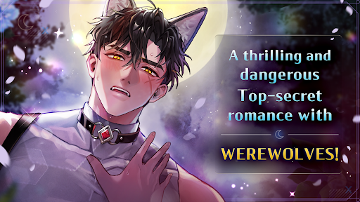 Moonlight Crush - screenshot 2