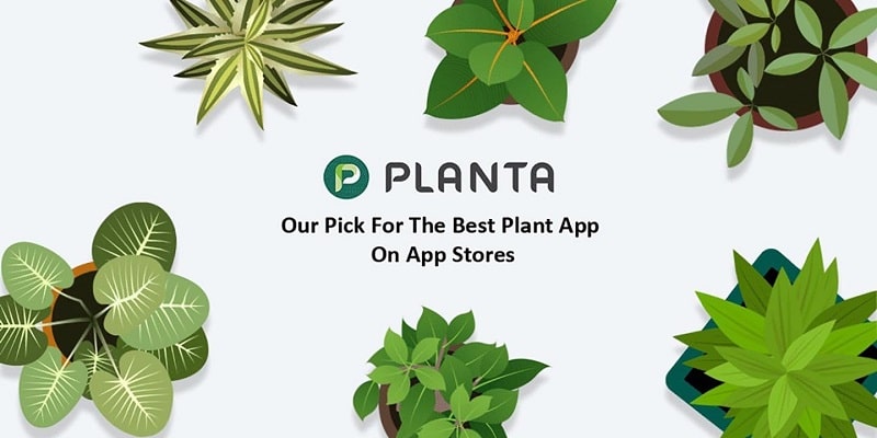 Planta APK - app icon