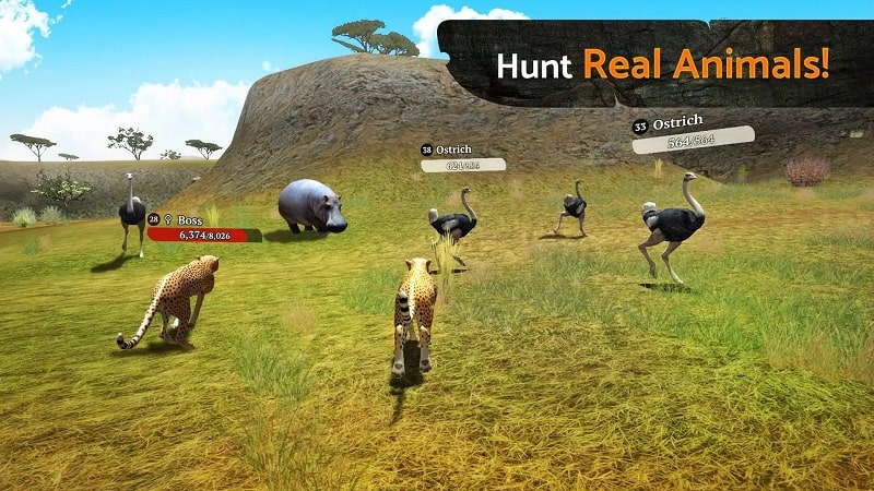 The Cheetah APK - screenshot 1
