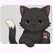 Boxed Cats - app icon