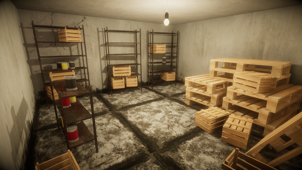 Undiscovered house horror game - screenshot 23