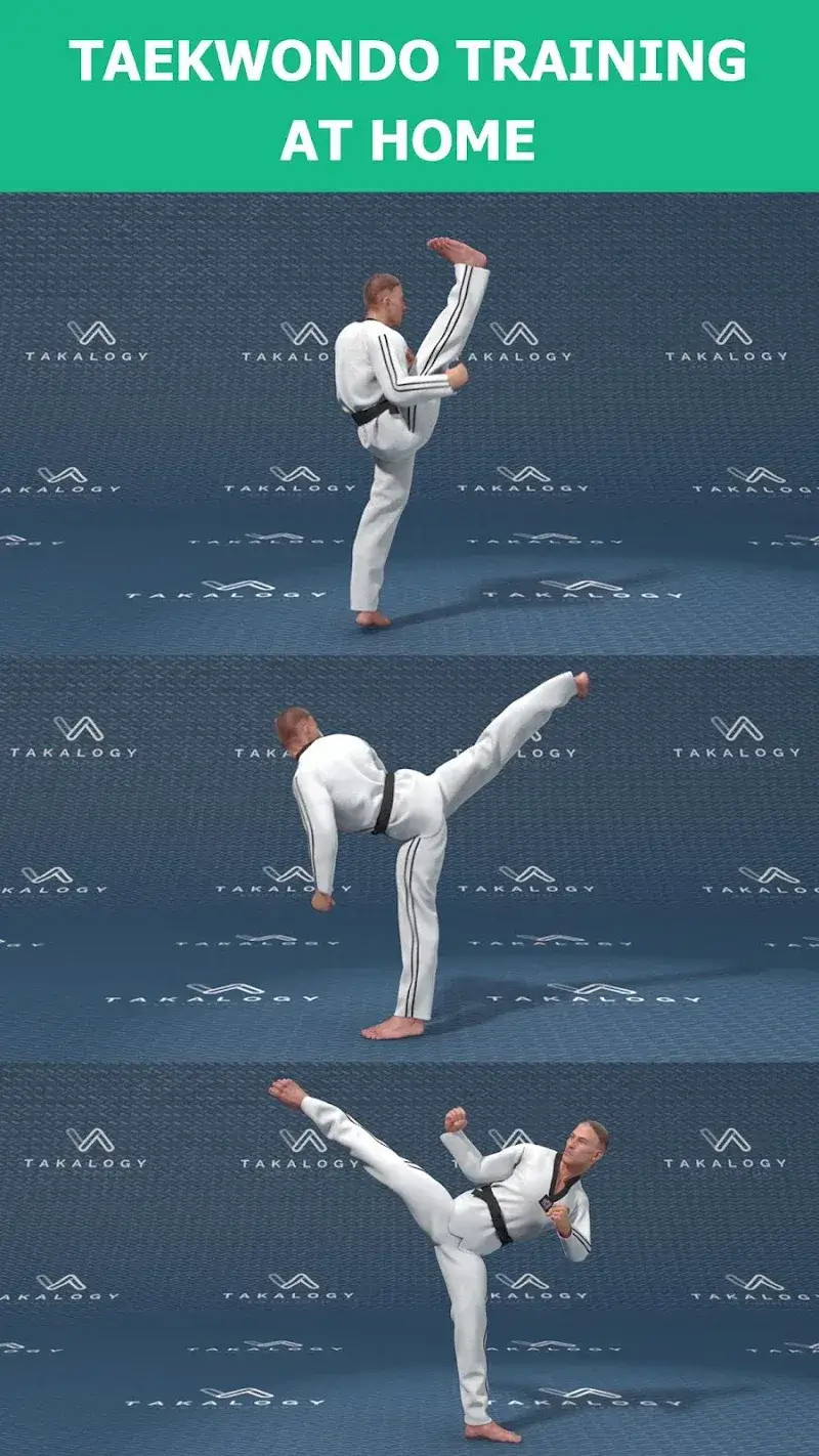 Mastering Taekwondo at Home - screenshot 2
