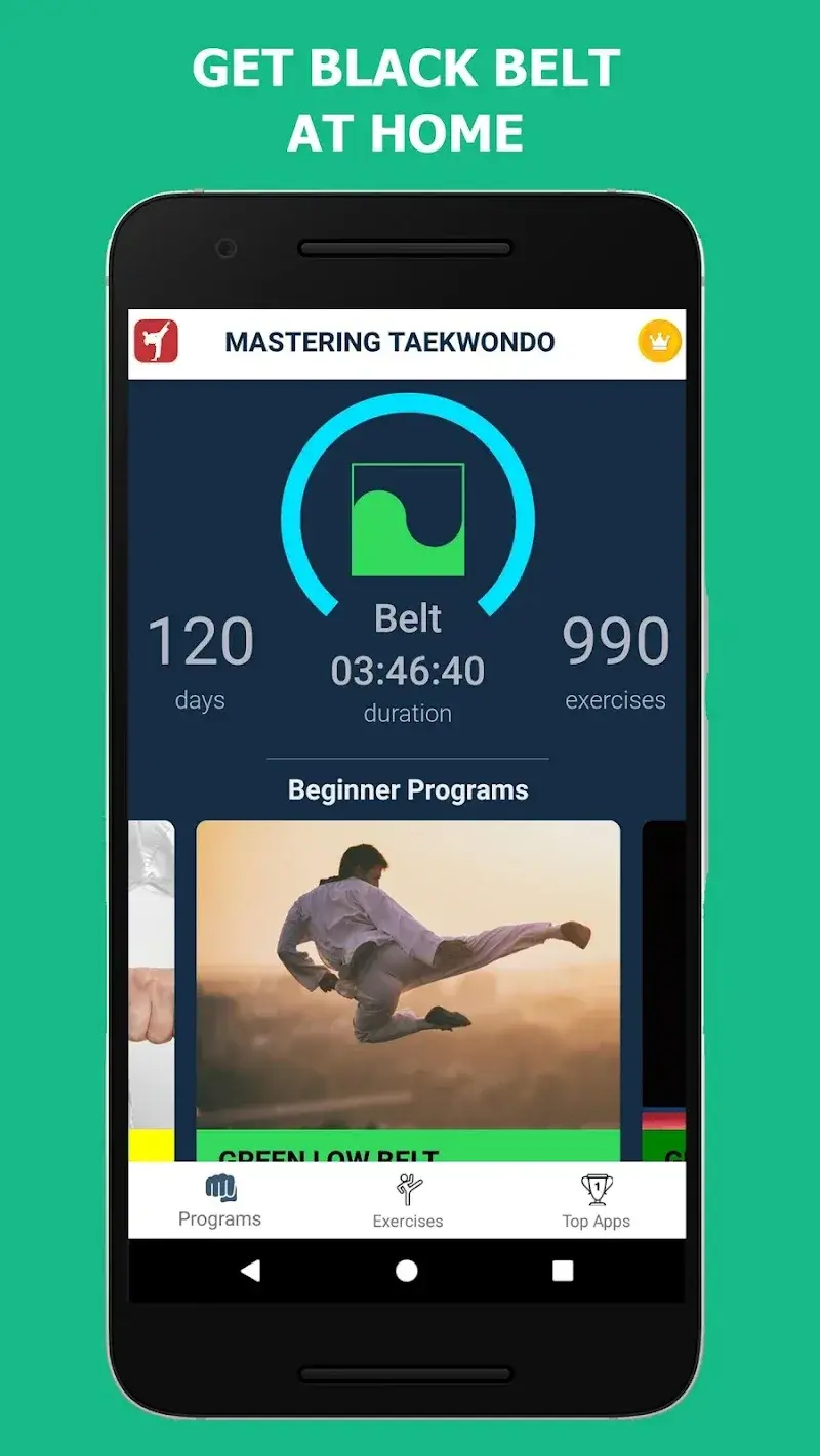 Mastering Taekwondo at Home - screenshot 3