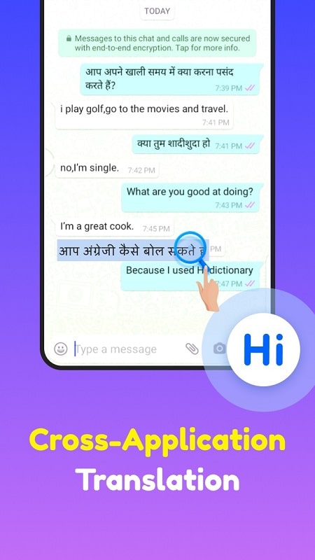 Hi Dictionary APK - screenshot 4