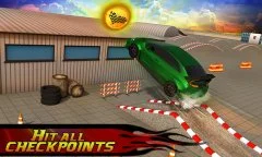 Furious Car Driver 3D - screenshot 1