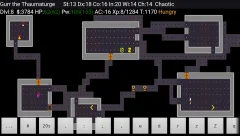 NetHack - screenshot 2