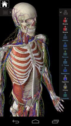 Essential Anatomy 3 - screenshot 2