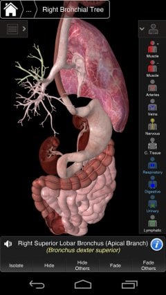 Essential Anatomy 3 - screenshot 4