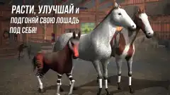 Photo Finish Horse Racing - screenshot 3